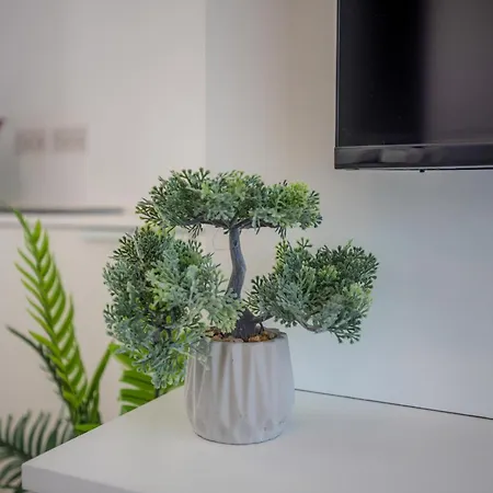 Sarah's Penthouse In 슬리에마